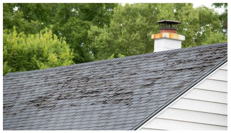 Top 10 Signs Your Roof Needs Immediate Repair: Protect Your Home