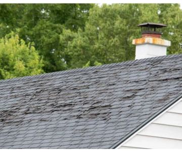 Top 10 Signs Your Roof Needs Immediate Repair: Protect Your Home