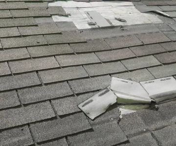 Should I Repair or Replace My Roof? A Complete Decision Guide