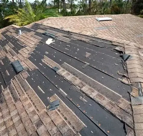 Top 10 Signs Your Roof Needs Immediate Repair