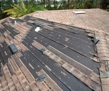 Top 10 Signs Your Roof Needs Immediate Repair