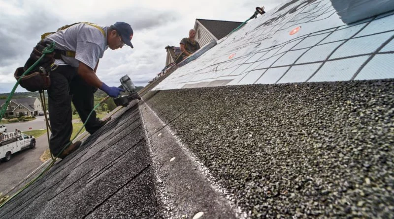 How to Choose a Reliable Roofing Contractor Near You | Total Roofing Hub