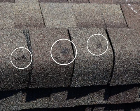 How to Spot Hail Damage on Your Roof