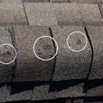 How to Spot Hail Damage on Your Roof