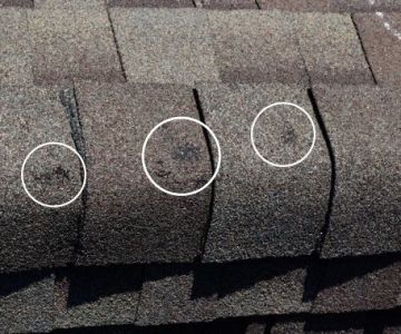 How to Spot Hail Damage on Your Roof