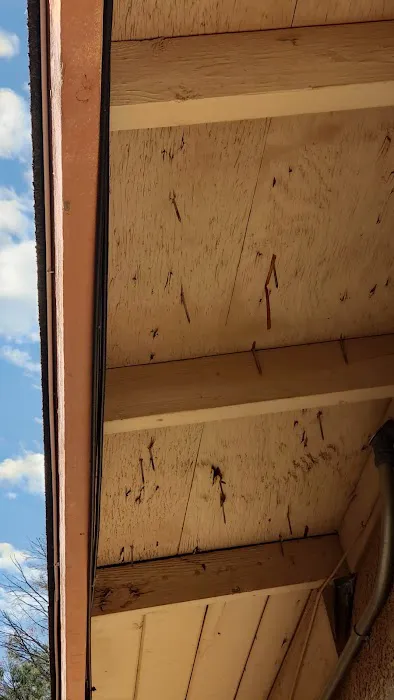 Roof LLC Picture 1