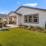 Chandler Stucco