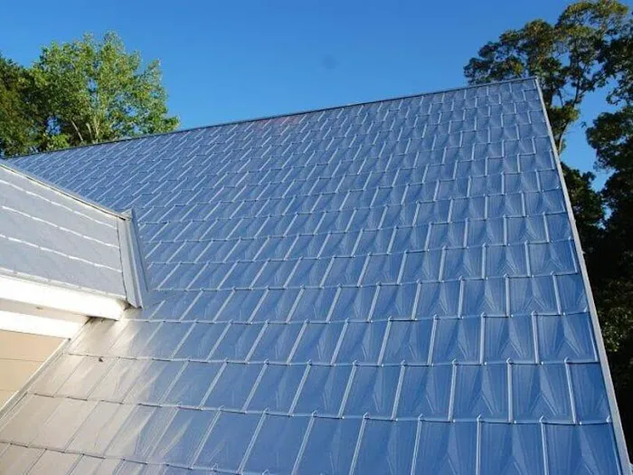 Houston Family Roof Architecture Picture 1