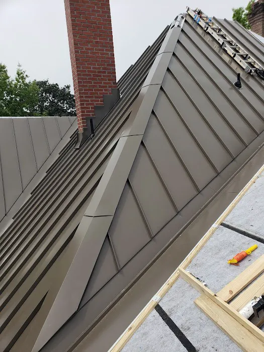 Halo Metal Roofing Picture 5