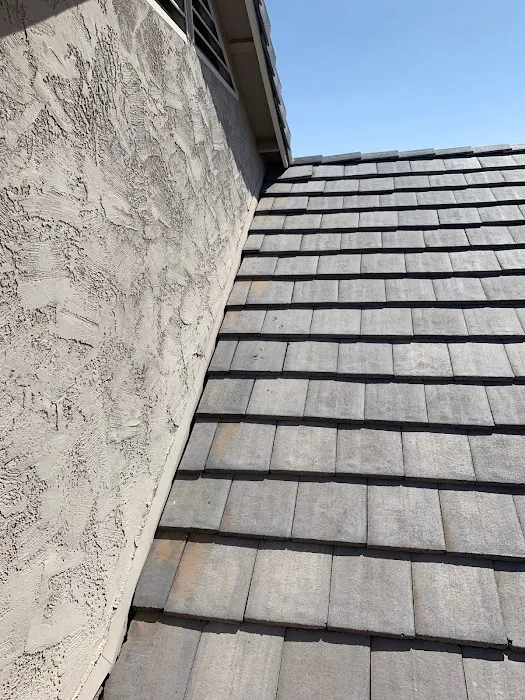 Paramount Kanga Roof Picture 4
