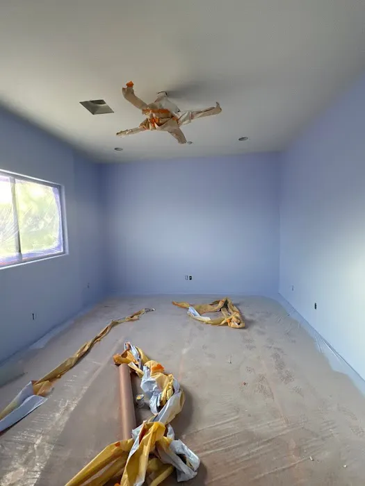 Turn Over Painting Contractors Picture 9