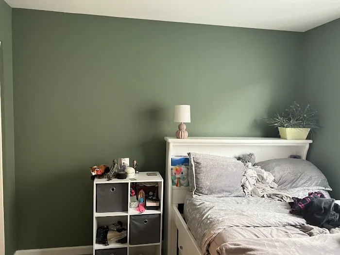 West Valley Painting Picture 5