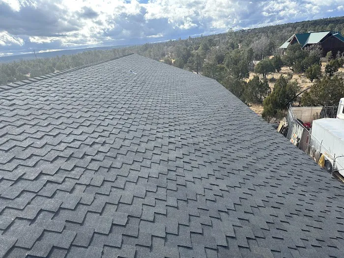 Delta Roofing Services LLC Picture 3