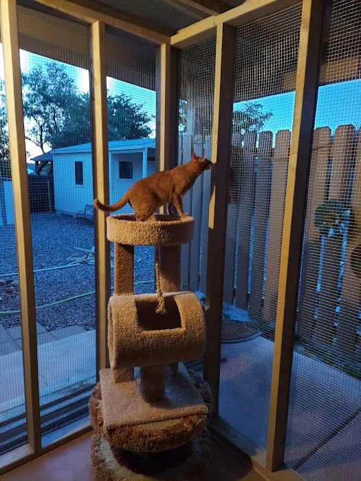 Verde Valley Handyman Picture 7