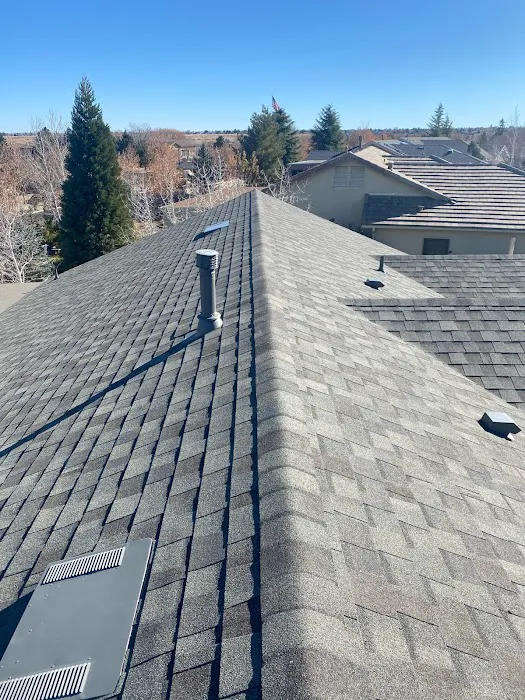 Sebastian and Sons Roofing, LLC Picture 2