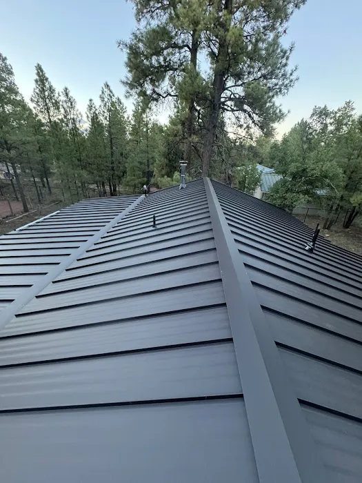 Polaris Roofing Systems Picture 4