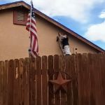 Living Colors Painting Company