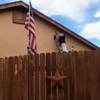 Living Colors Painting Company ico