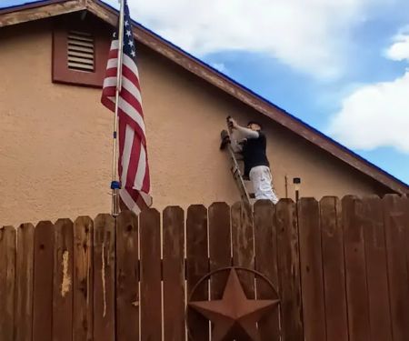 Living Colors Painting Company