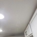 Holguin's Handyman & Services, LLC