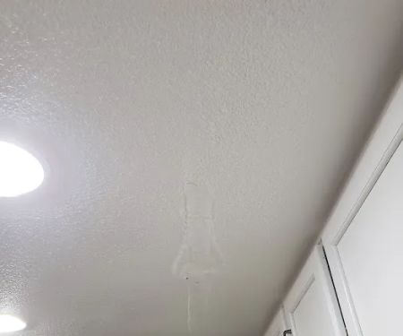 Holguin's Handyman & Services, LLC