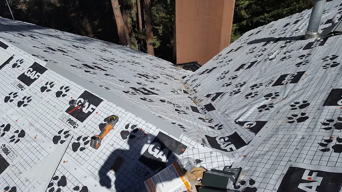 laid rite roofing Picture 8