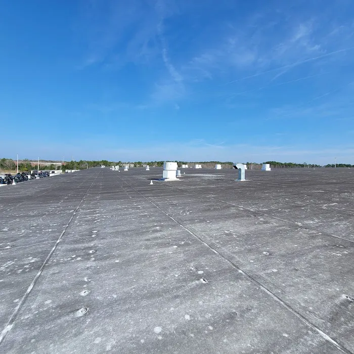 Roof Now Picture 5