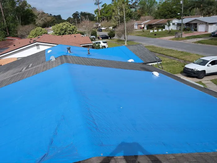 Roof Now Picture 4