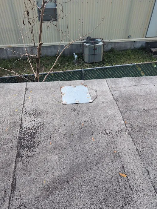 Roof Now Picture 10