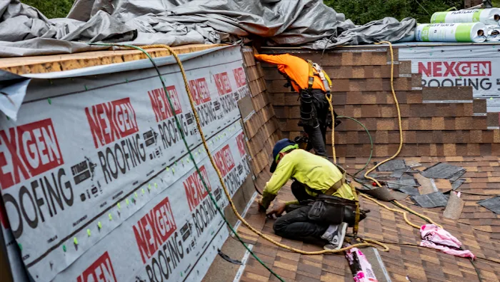 NexGen Roofing Picture 2