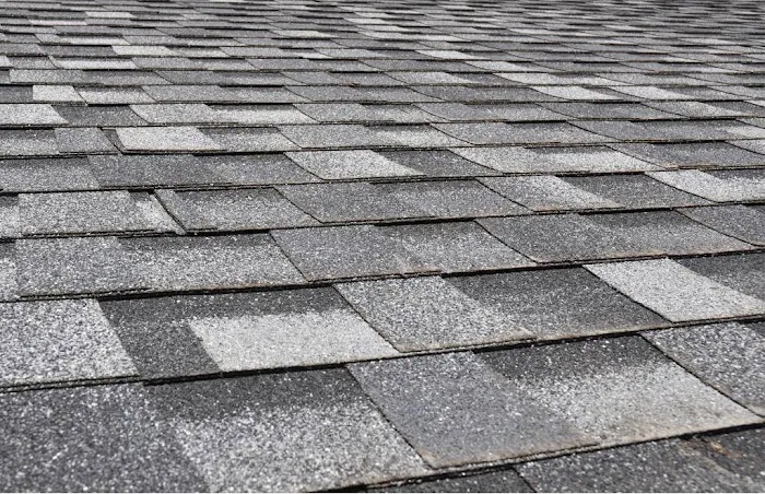 Florida Roofing Pros Picture 4