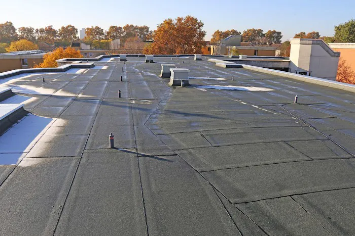 Roofing Pros USA Picture 8