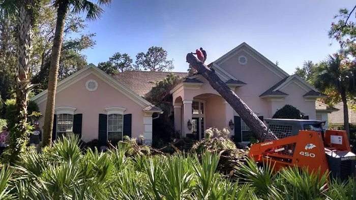 Neligan Construction & Roofing, LLC Picture 8