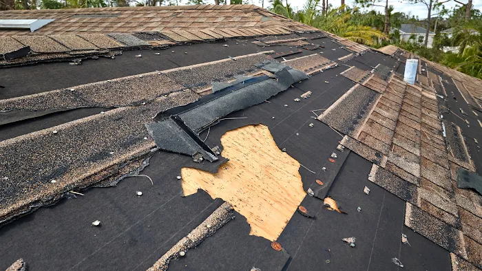 Beaches Roofing Services Picture 3