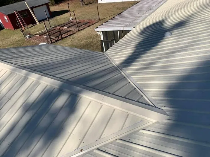 Professional Roofing Systems Picture 1