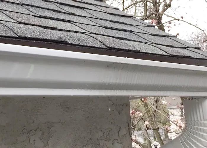 Everything Gutter Saint Augustine Picture 6