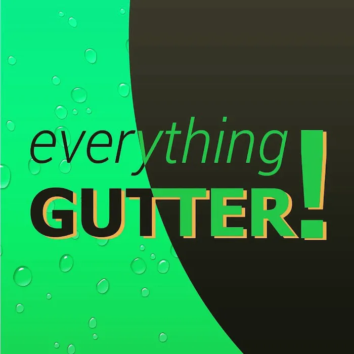 Everything Gutter Saint Augustine Picture 8
