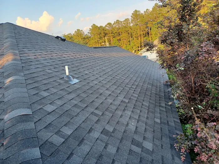 Professional Roofing Solutions Picture 4