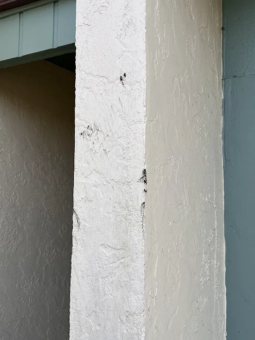 Florida's Best Roofing Picture 9