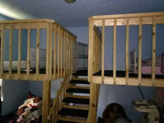 Raising the Roof Inc Picture 7