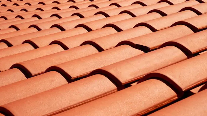 Larks Roofer Savannah Picture 9
