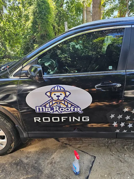 Mr. Roofr Picture 3