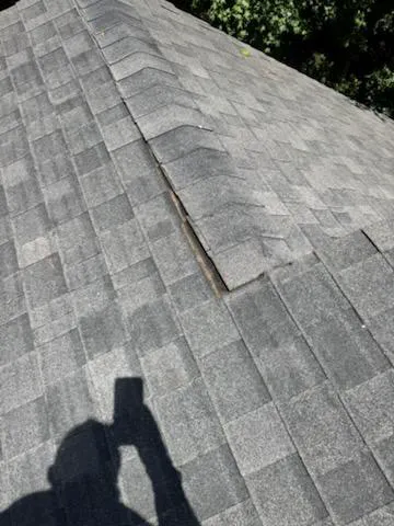 Alpha Roofing Services Picture 1
