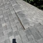 Alpha Roofing Services