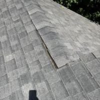 Alpha Roofing Services ico