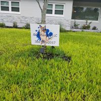 JMM Painting LLC ico