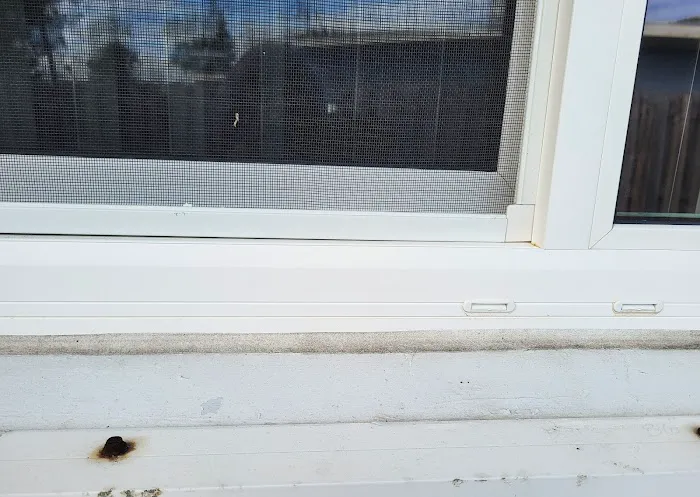 Dovi Windows and Doors, Inc. Picture 6