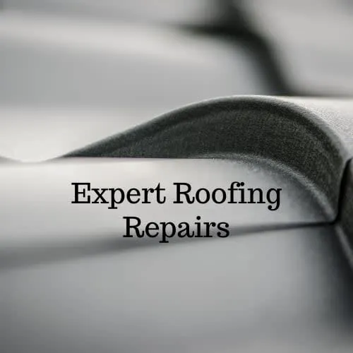 Expert Roofing Repairs Picture 1