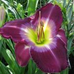 Perkins Commercial And Residential Service, LLC