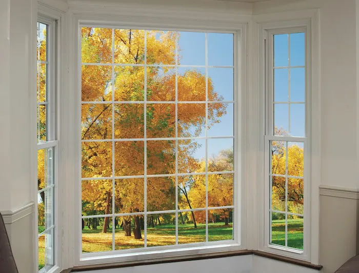 Champion Replacement Windows of Macon Picture 1